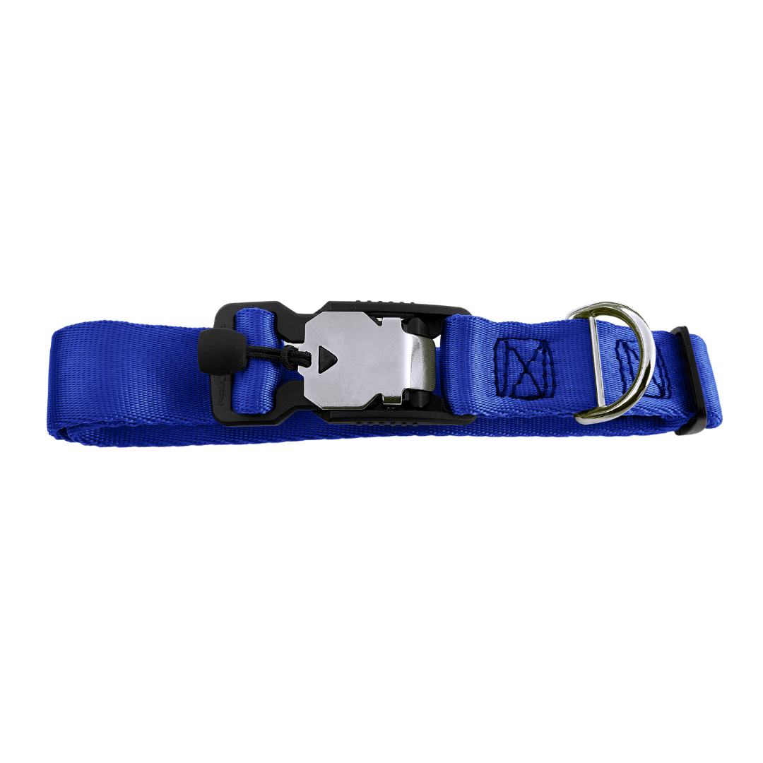 Magnetic dog collar clearance
