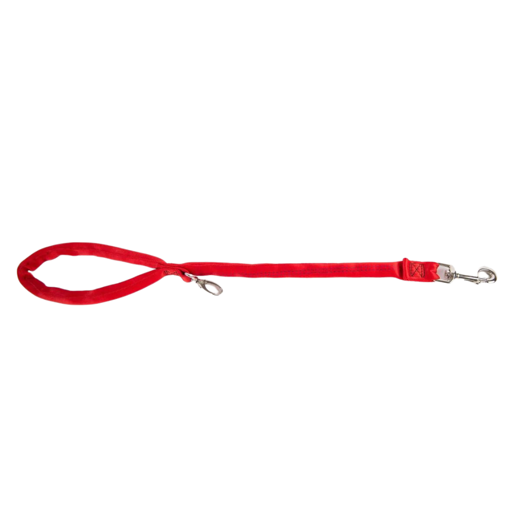 Orange-Luv My Leash, 2-6 Foot option ,Lightweight, Padded,Dual Snap, 5