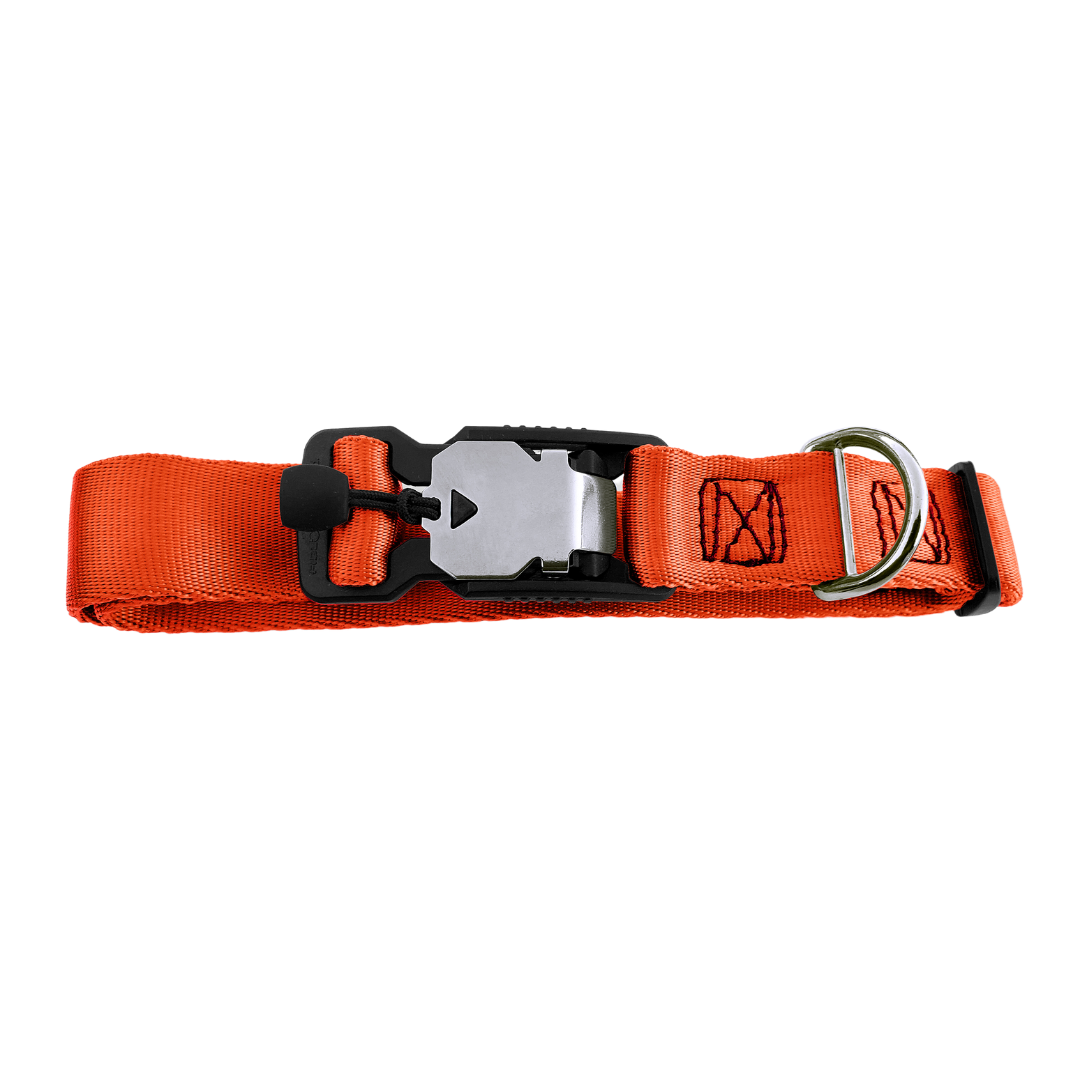 Safety orange dog collar deals
