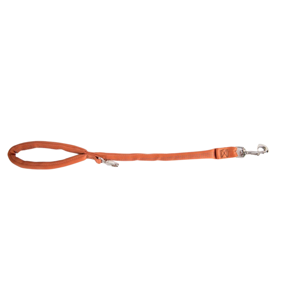 Copper Luv My Leash 2 6 Foot option Lightweight Padded Dual Snap 5