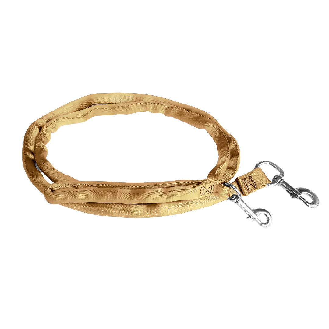 10 ft store leather dog leash