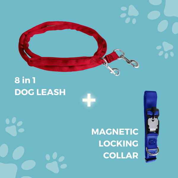 Padded,Dual Snap, Leash Harness & Magnetic Locking Safety Collar Combo