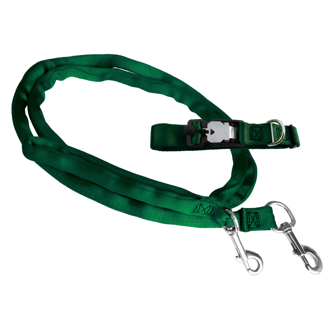 Collar harness combo cheap