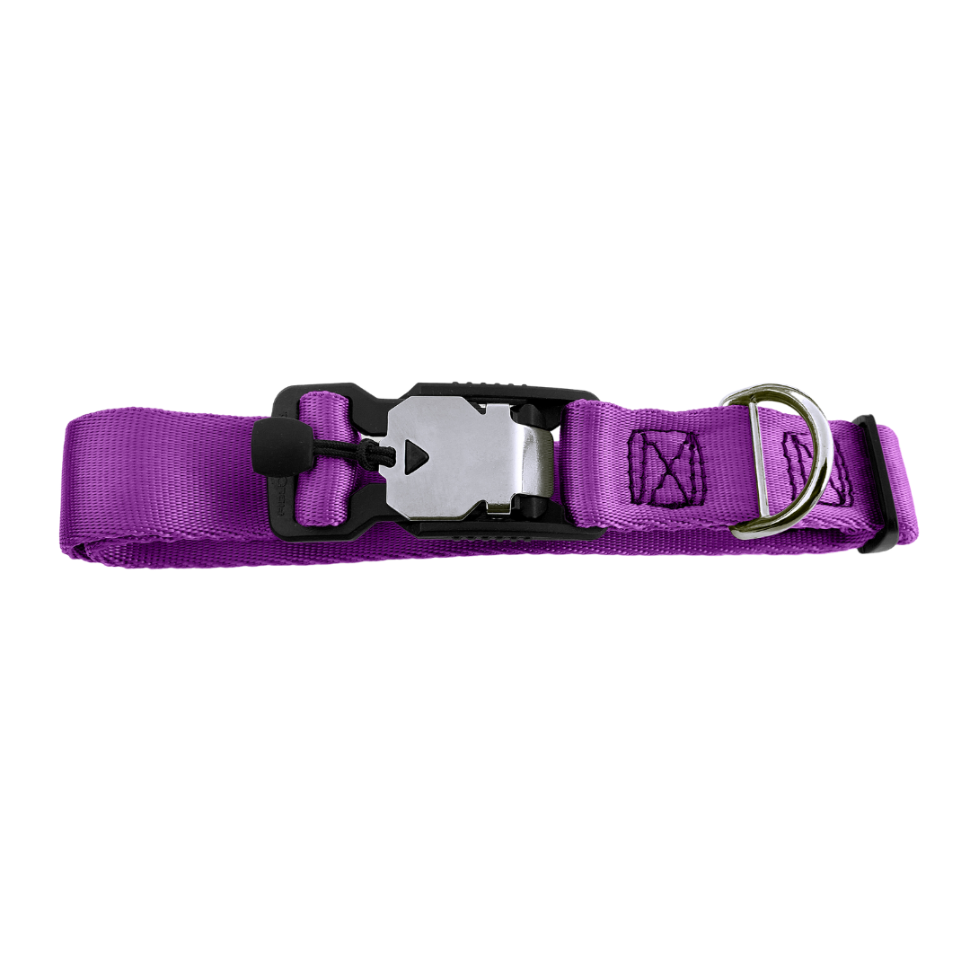 Magnetic Locking Dog Safety Collar - Purple