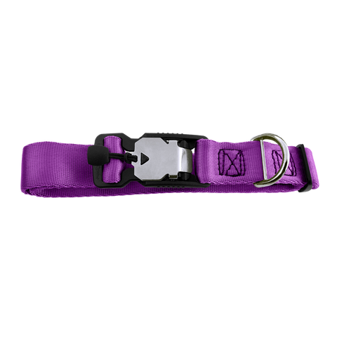 Magnetic Locking Dog Safety Collar - Purple