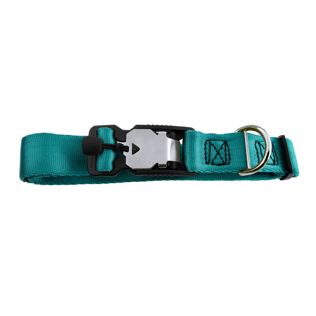 Magnetic Locking Dog Safety Collar - Teal