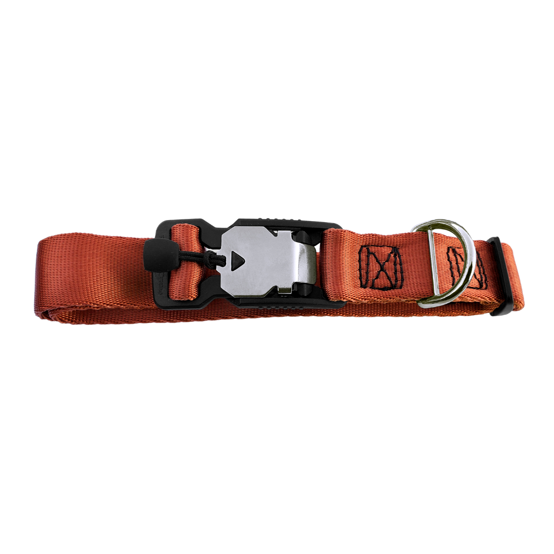 Magnetic Locking Dog Safety Collar - Cooper