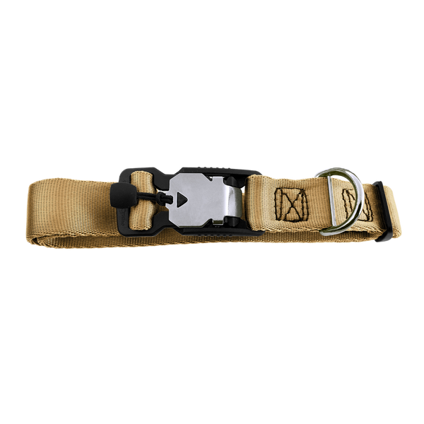 Clif Magness Lucky Dog メロハー PLANET 3他】◇メロハー，AOR◇CLIF MAGNESS/LUCKY DOG