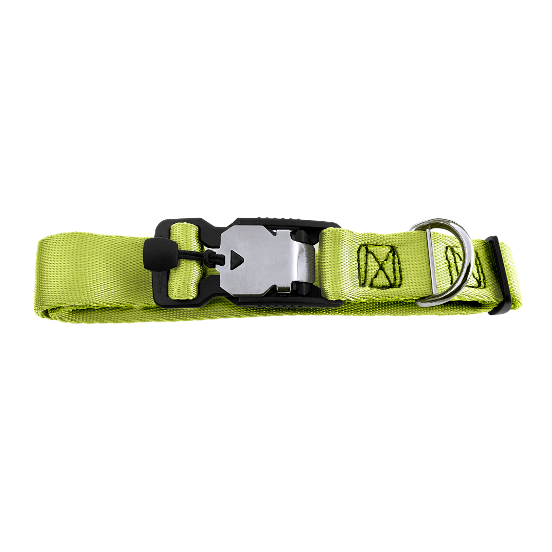 Magnetic Locking Dog Safety Collar - Punch
