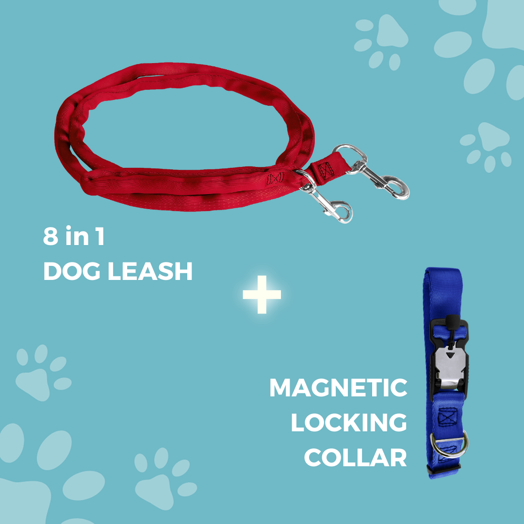 Padded Dual Snap Leash Harness Magnetic Locking Safety Collar Combo Luv My Leash