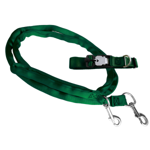 Padded Dual Snap Leash Harness Magnetic Locking Safety Collar Combo
